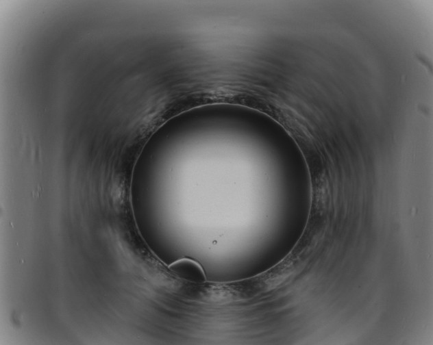 X0000096390608200801311322