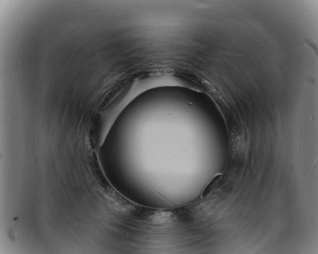 X0000096390609200801311322