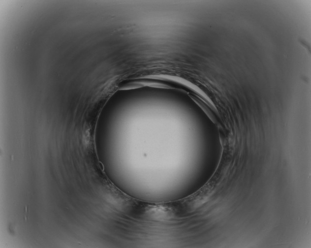X0000096390611200801311322