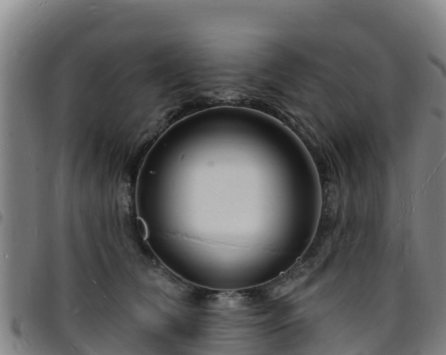 X0000096390612200801311322