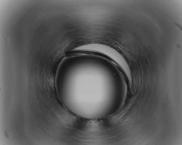 X0000096390613200801311322