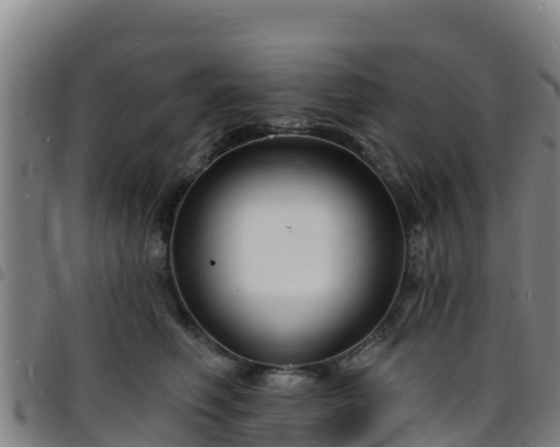 X0000096390614200801311322