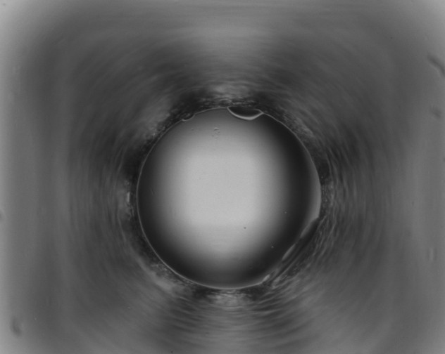 X0000096390615200801311322