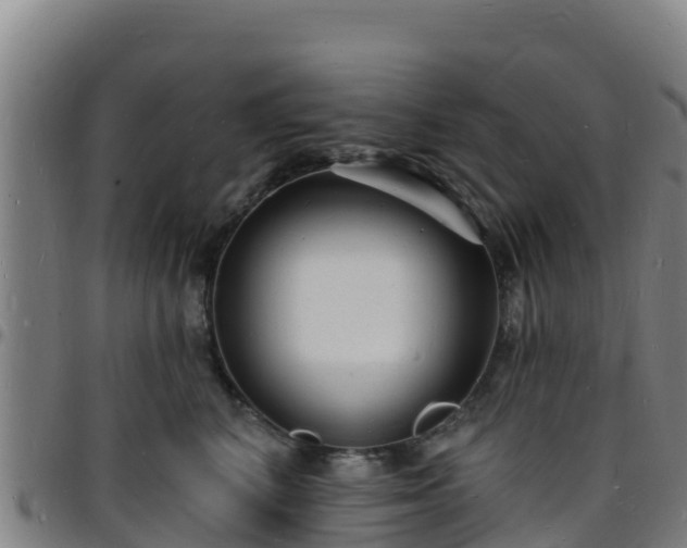 X0000096390616200801311322