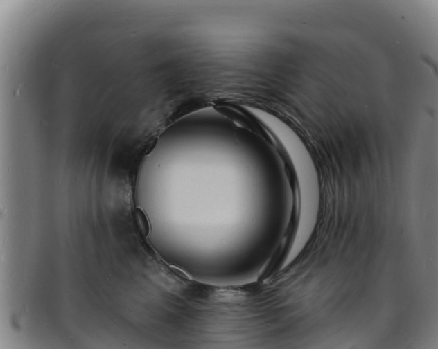 X0000096390617200801311322
