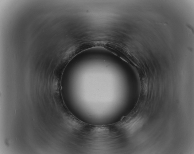 X0000096390619200801311322