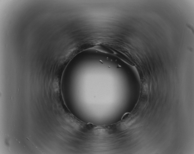 X0000096390620200801311322