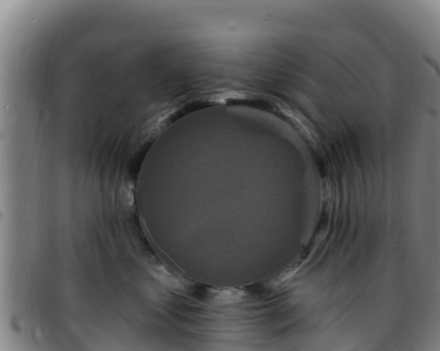 X0000096390621200801311322