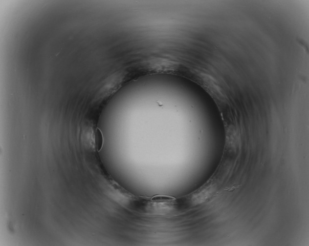 X0000096390622200801311322