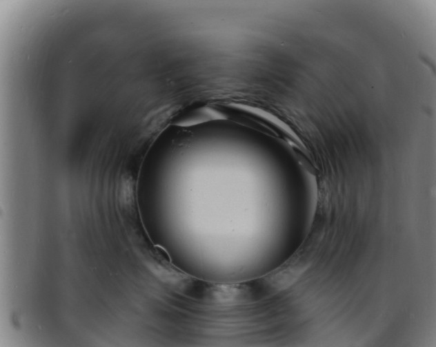 X0000096390623200801311322