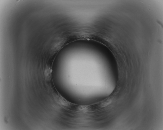 X0000096390624200801311322