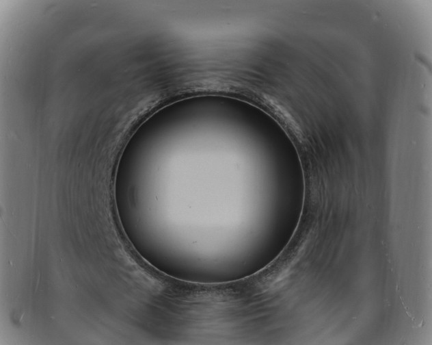 X0000096390625200801311322