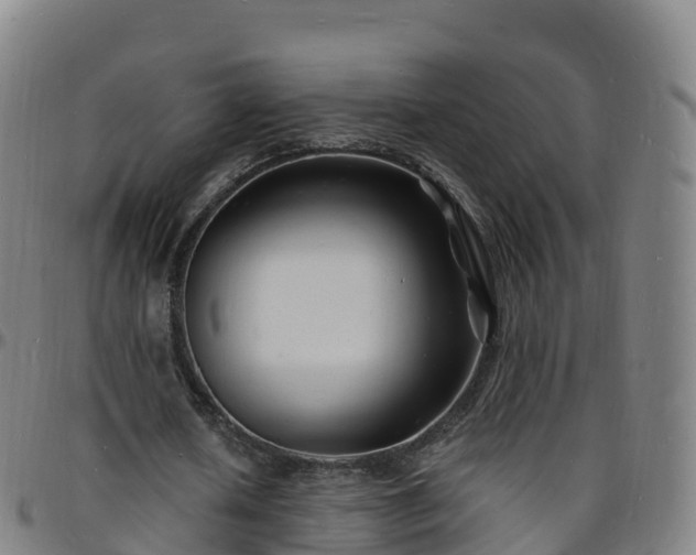 X0000096390626200801311322