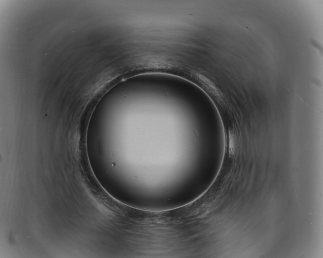 X0000096390627200801311322