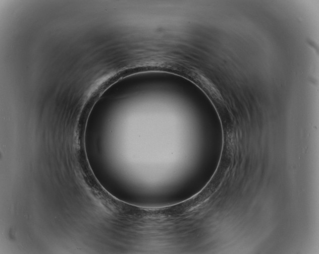 X0000096390628200801311322