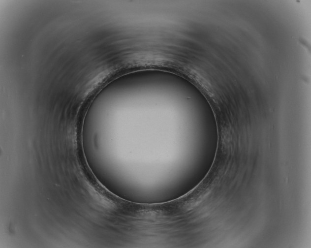 X0000096390629200801311322