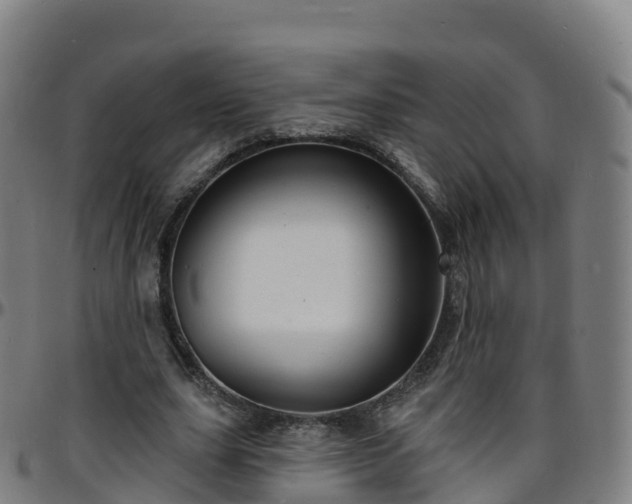 X0000096390631200801311322