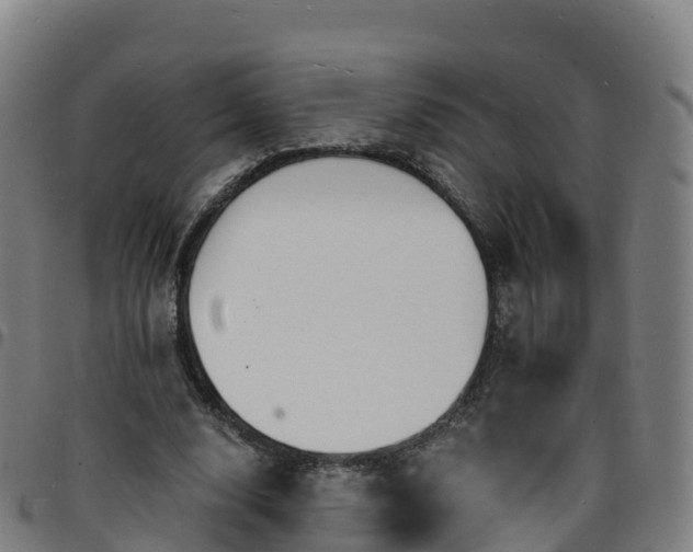 X0000096390632200801311322