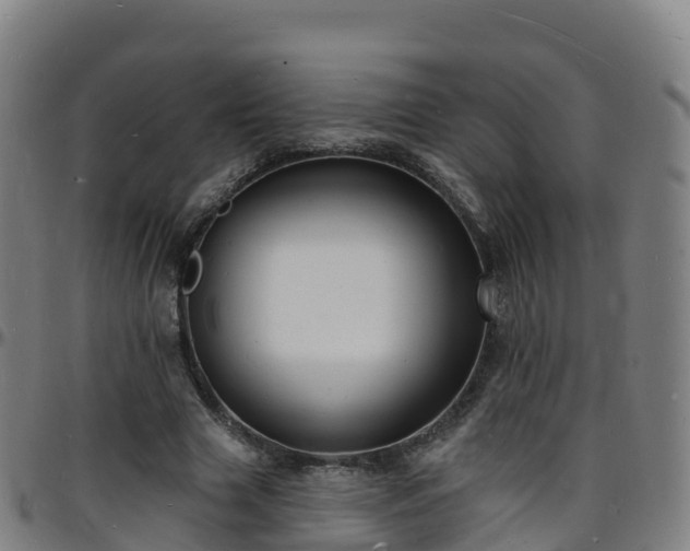 X0000096390633200801311322