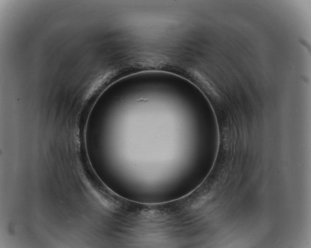 X0000096390634200801311322