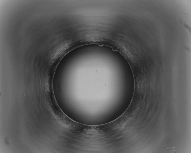 X0000096390635200801311322