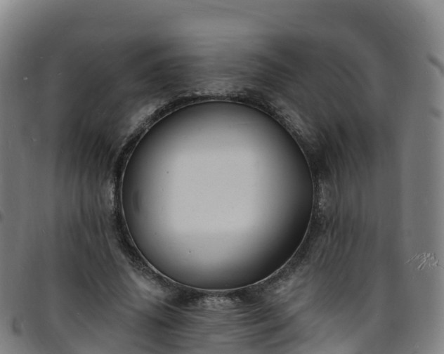 X0000096390636200801311322
