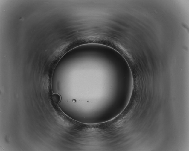 X0000096390637200801311322