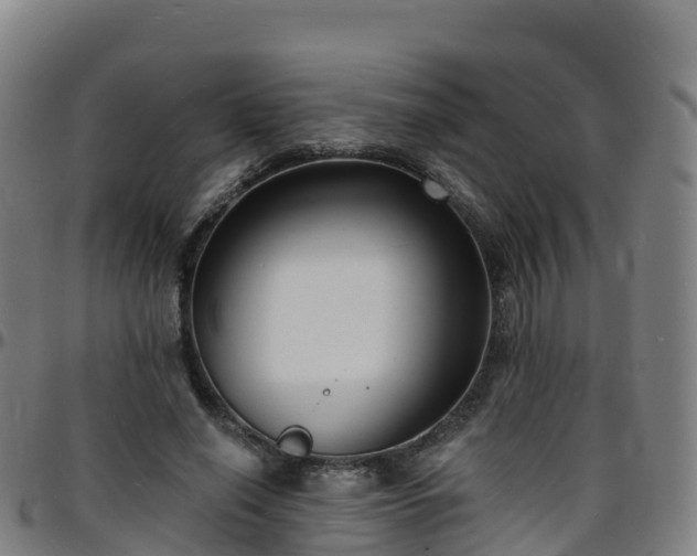 X0000096390638200801311322