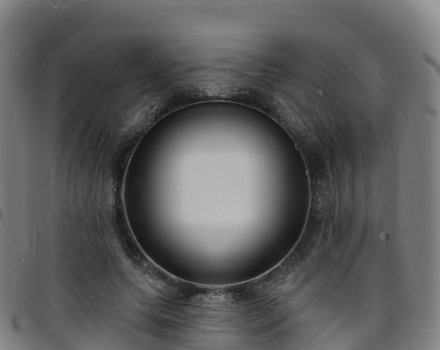 X0000096390639200801311322