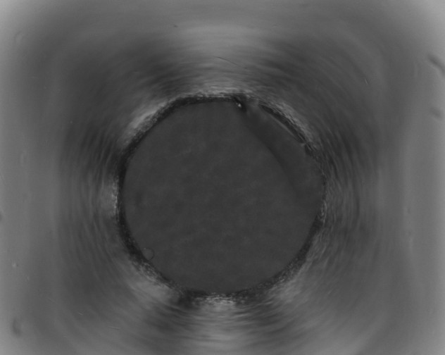 X0000096390640200801311322