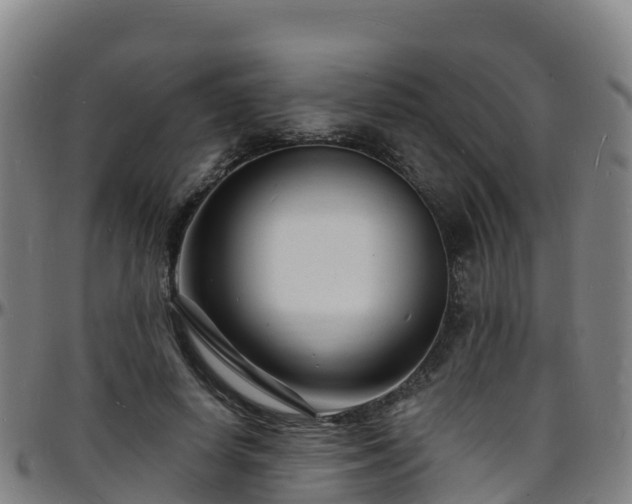 X0000096390642200801311322