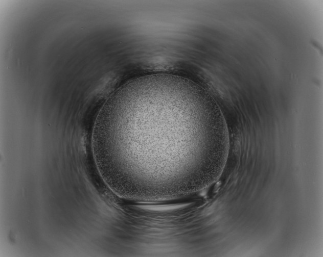 X0000096390643200801311322