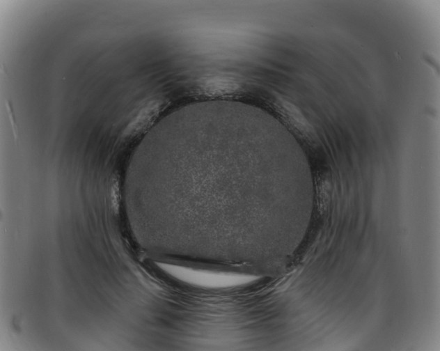X0000096390644200801311322