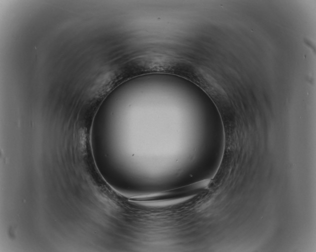 X0000096390646200801311322