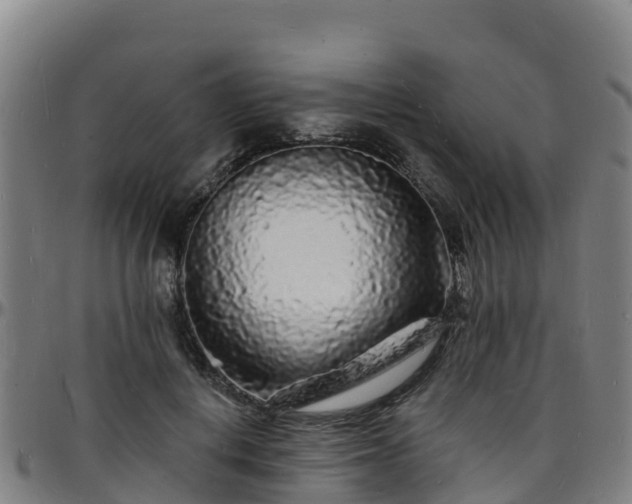 X0000096390648200801311322