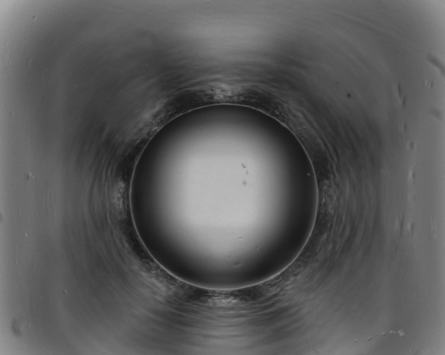 X0000096390650200801311322