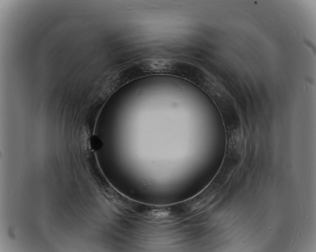 X0000096390651200801311322