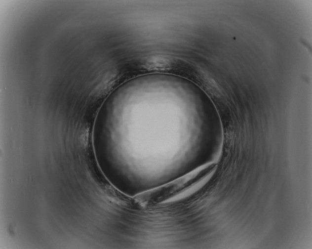 X0000096390652200801311322