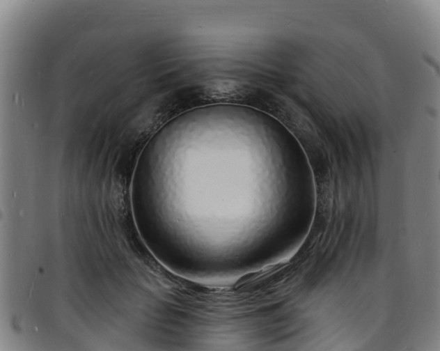 X0000096390653200801311322
