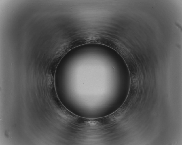 X0000096390654200801311322