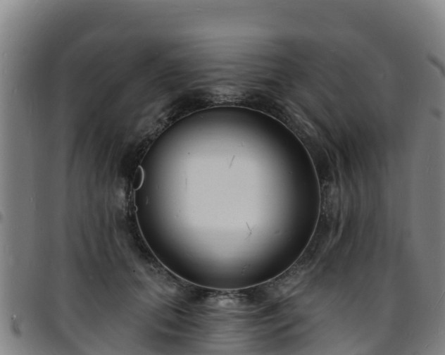 X0000096390655200801311322