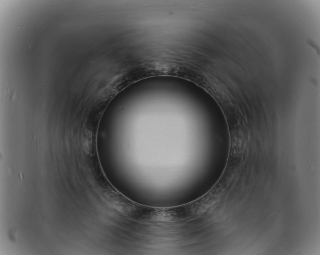 X0000096390656200801311322