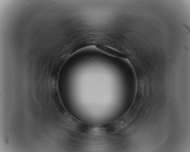 X0000096390657200801311322