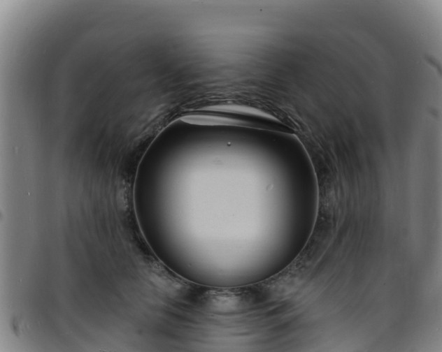 X0000096390658200801311322