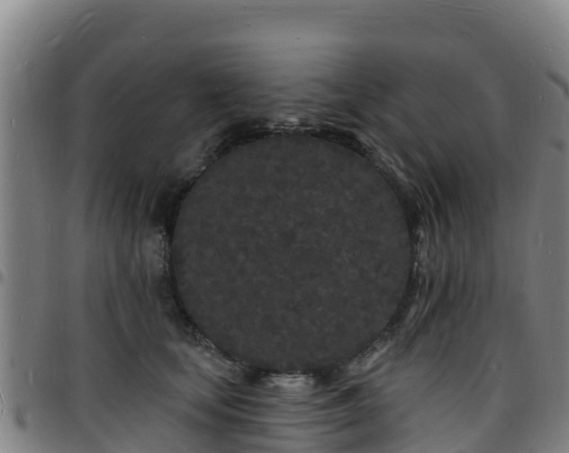 X0000096390659200801311322