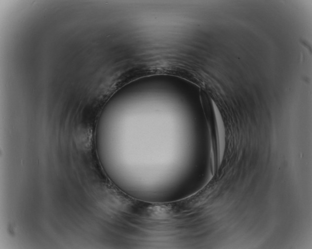 X0000096390660200801311322