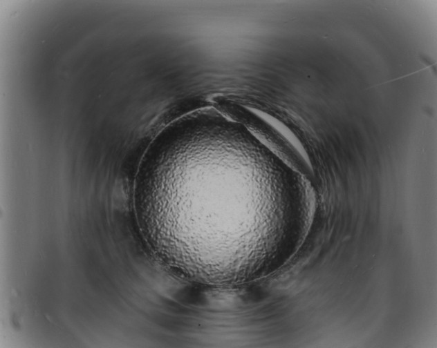 X0000096390661200801311322