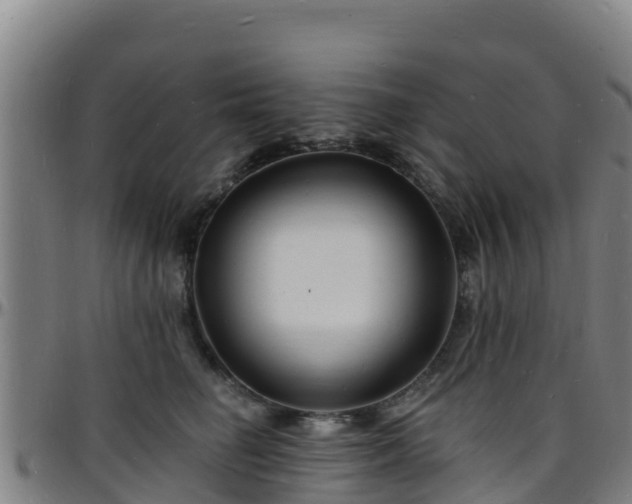 X0000096390662200801311322