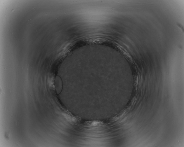 X0000096390663200801311322