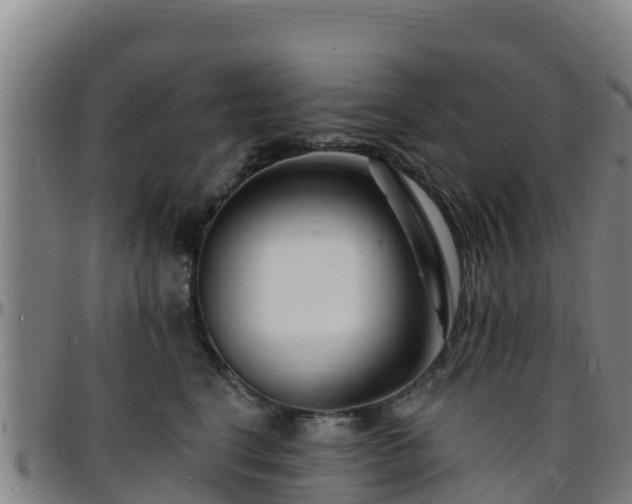 X0000096390664200801311322